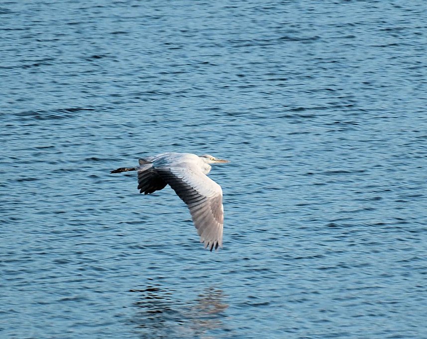 Peter Blei unterwegs im Vogelparadies