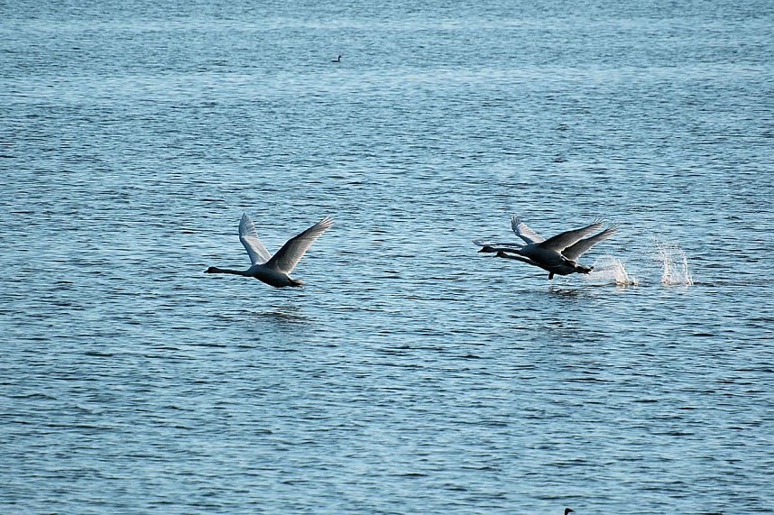 Peter Blei unterwegs im Vogelparadies