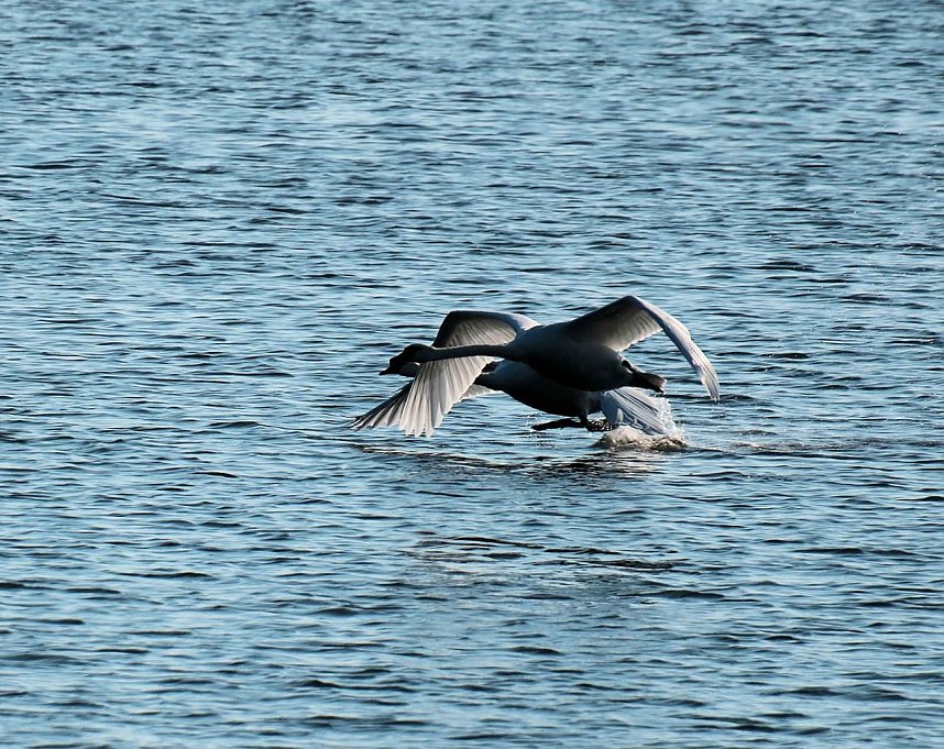 Peter Blei unterwegs im Vogelparadies