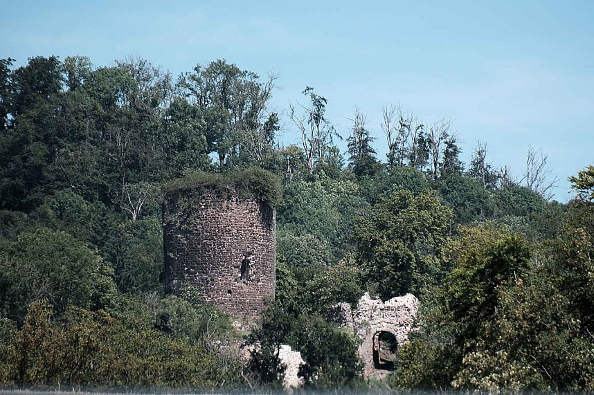 Peter Blei unterwegs auf dem Schleppertreffen in Herrmannsacker
