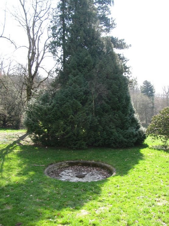 Unterwegs in "Hohenrode"