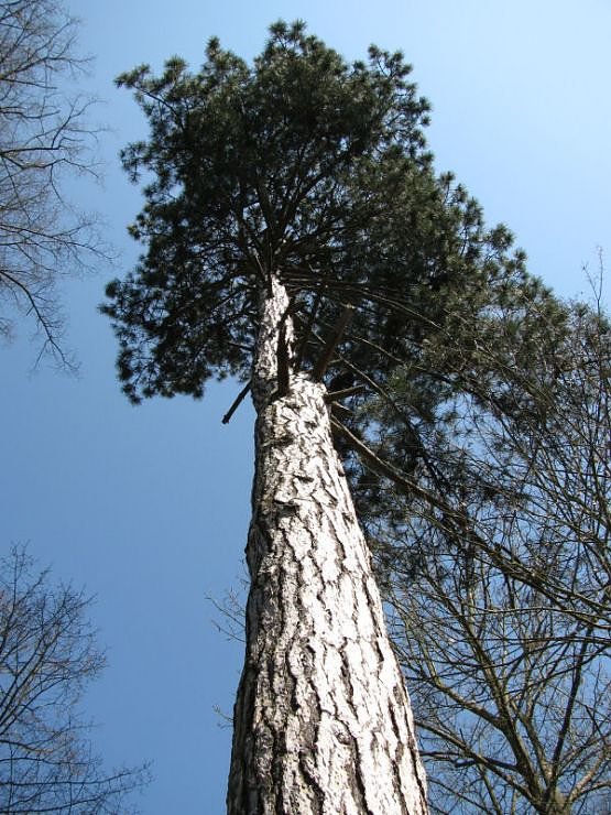 Unterwegs in "Hohenrode"