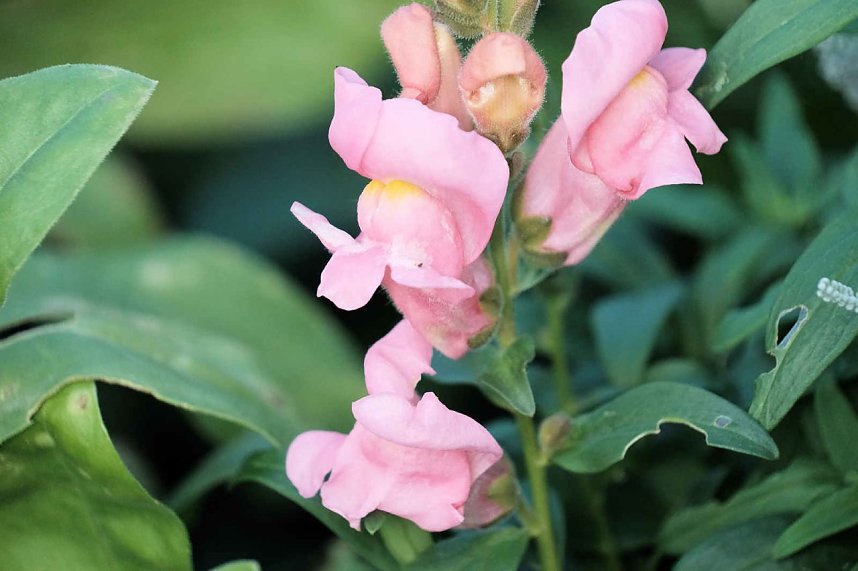 Peter Blei unterwegs auf dem Petersberg
