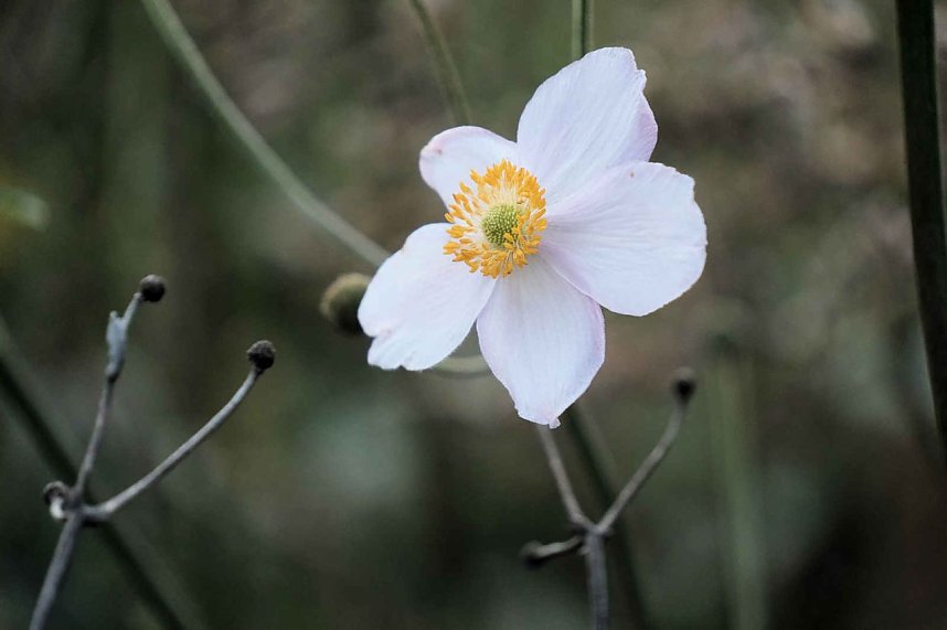 Peter Blei unterwegs auf dem Petersberg