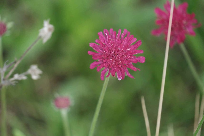 Peter Blei unterwegs auf dem Petersberg