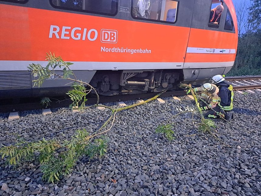 Bahn kollidiert mit &Auml;sten