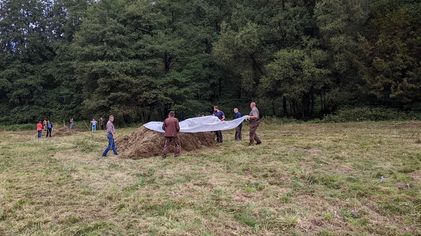 Pflegeeinsatz auf der Wiese