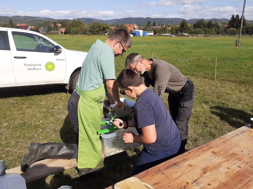 S&uuml;dharzer Apfeltag in Ellrich