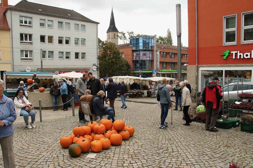 K&uuml;rbismarkt in Nordhausen