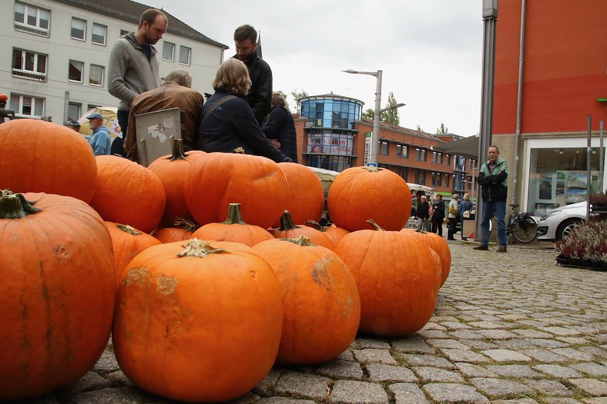 K&uuml;rbismarkt in Nordhausen
