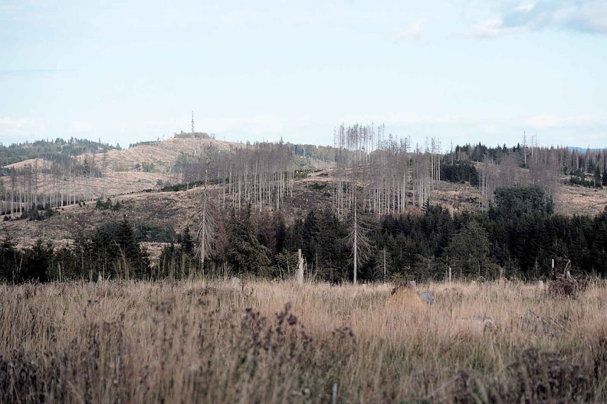In Rothes&uuml;tte und am Stausee Kelbra