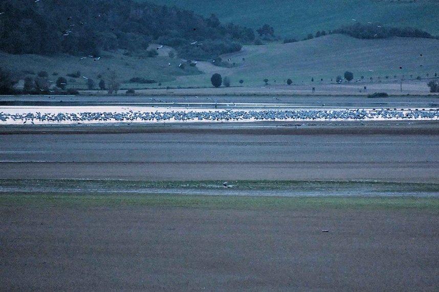 In Rothes&uuml;tte und am Stausee Kelbra