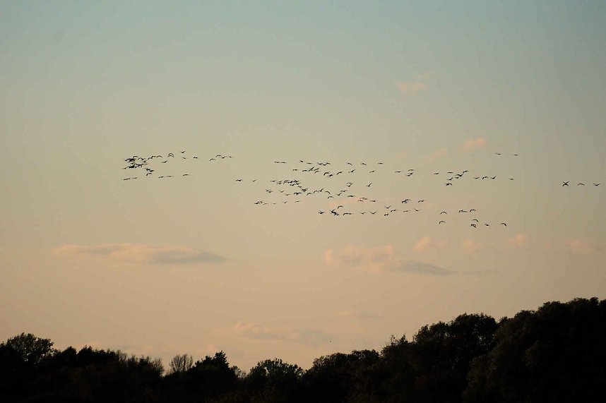 Neuer Aussichtsturm am Stausee Kelbra