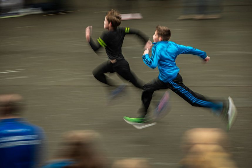 Herbstcrosslauf im Gehege