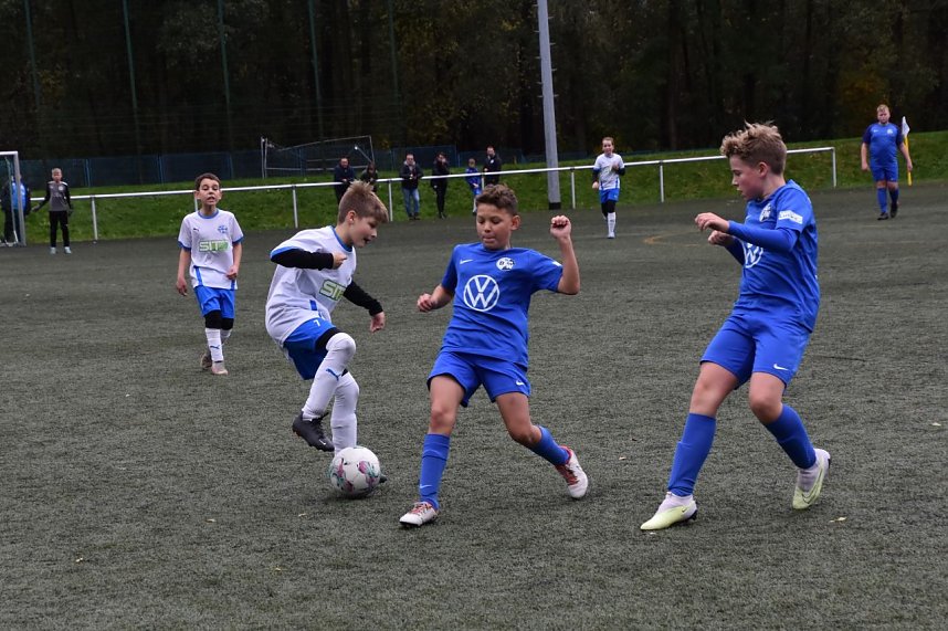 Wackers Nachwuchs gegen Bad Frankenhausen