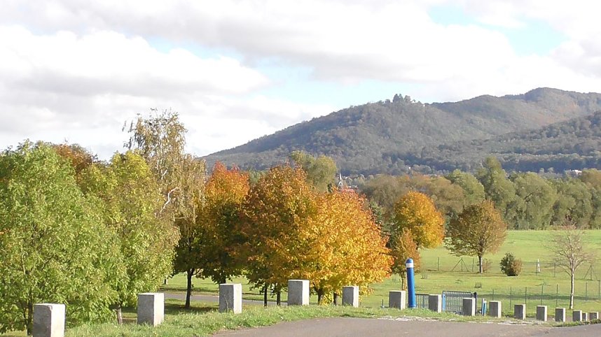 Herbst in der Goldenen Aue