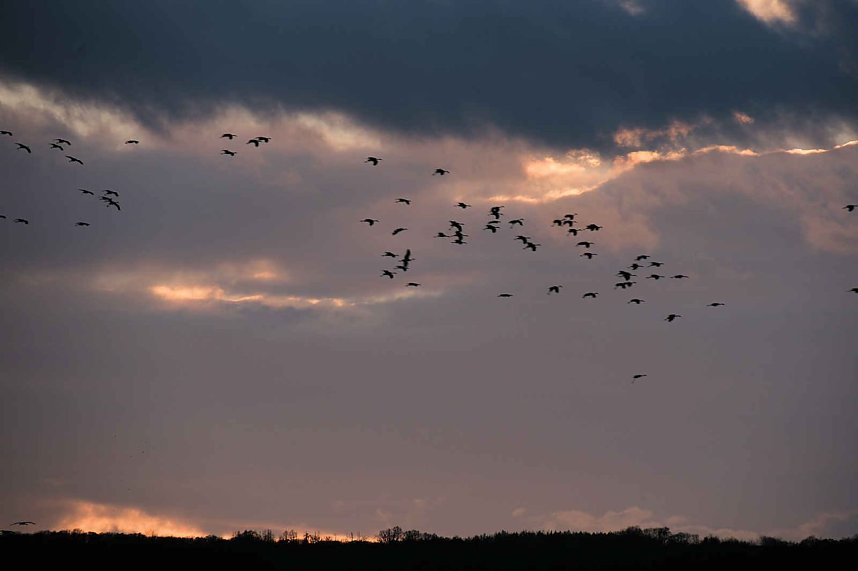 Peter Blei unterwegs am Stausee Kelbra