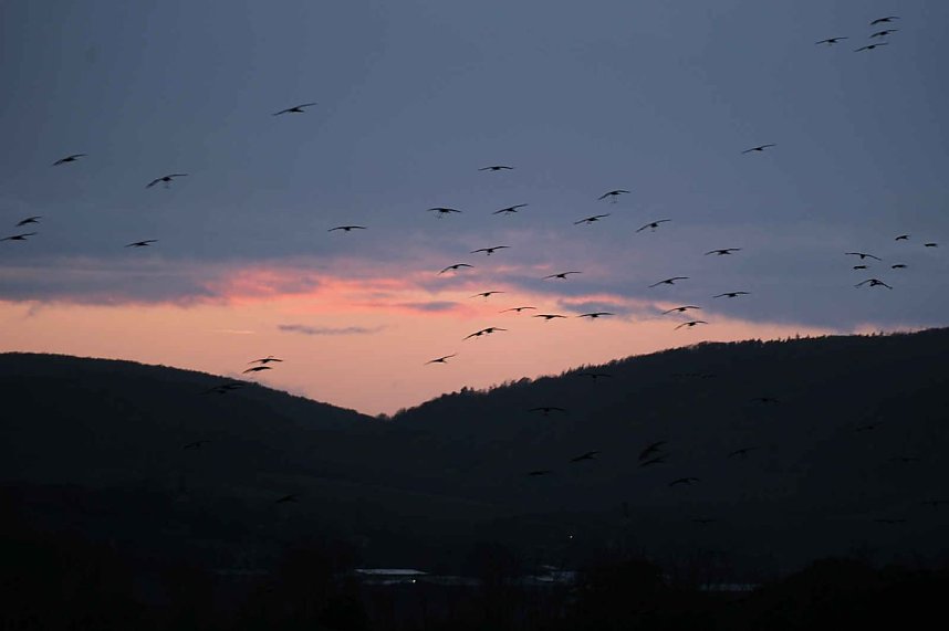 Peter Blei unterwegs am Stausee Kelbra