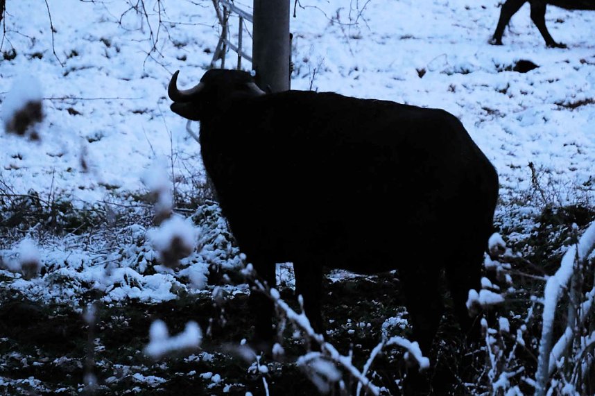 Die Windl&uuml;cke kurz vor Sonnenuntergang
