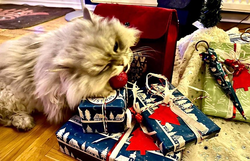 Willy und die Weihnachtsgeschenke