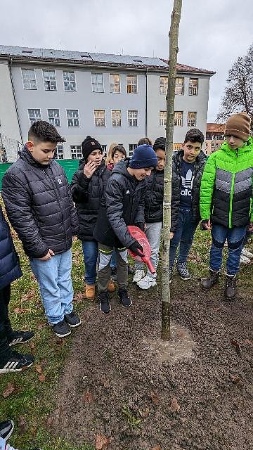 Baumpflanzung 2.0 an der Petersbergschule