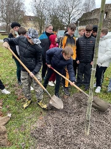 Baumpflanzung 2.0 an der Petersbergschule