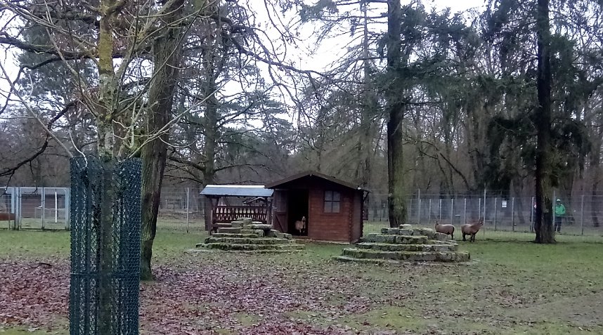 Beobachtungen im Stadtpark