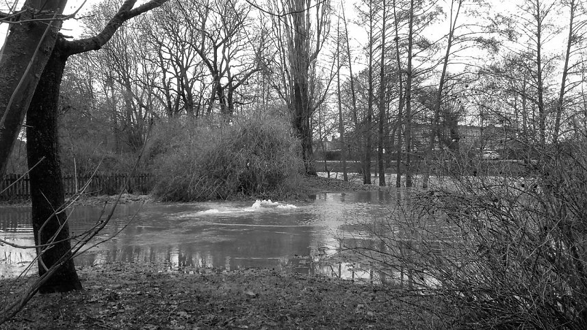 Beobachtungen im Stadtpark