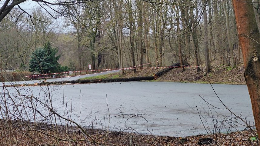 Peter Blei unterwegs im Stadtpark