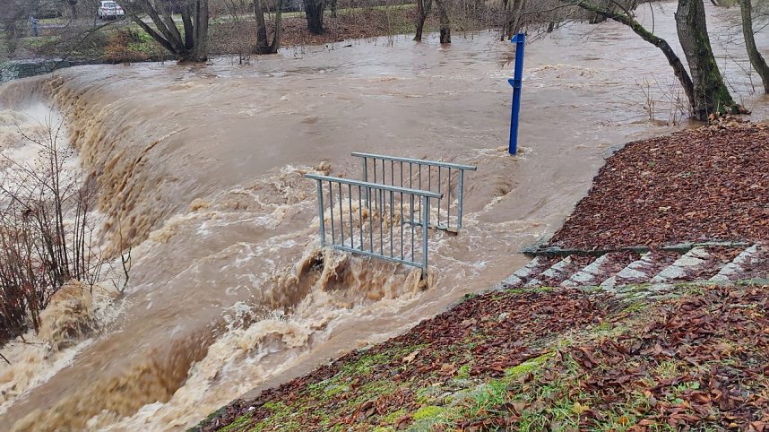 Peter Blei unterwegs im Stadtpark
