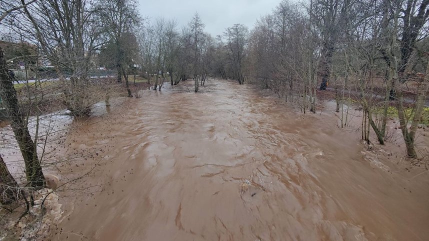 Peter Blei unterwegs im Stadtpark