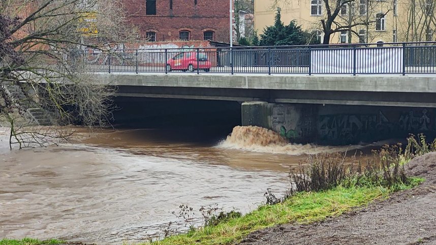 Peter Blei unterwegs im Stadtpark