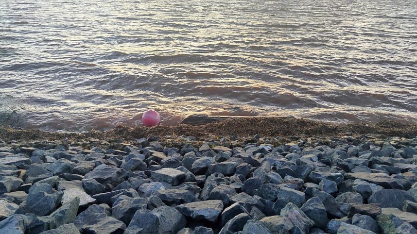 Voller Stausee bei Kelbra