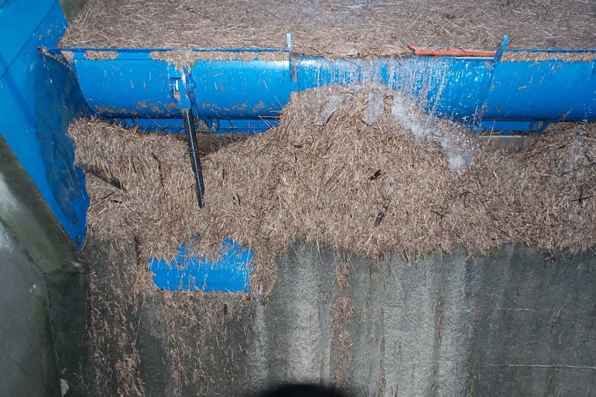 Voller Stausee bei Kelbra