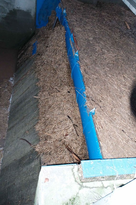 Voller Stausee bei Kelbra