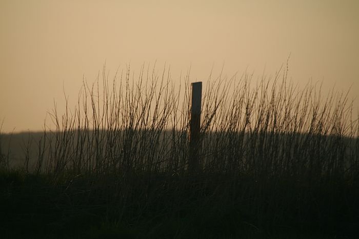Sonnenuntergang - fotografiert vom Hainer Berg