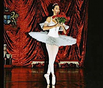 Eine bewegte Geschichte &uuml;ber 29 Jahre