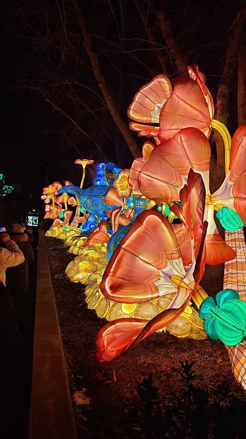 Peter Blei unterwegs in magischen Lichterwelten