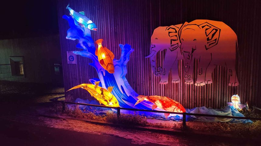 Peter Blei unterwegs in magischen Lichterwelten