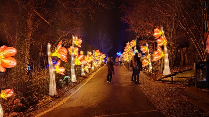 Peter Blei unterwegs in magischen Lichterwelten