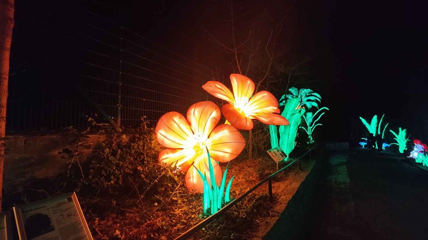 Peter Blei unterwegs in magischen Lichterwelten