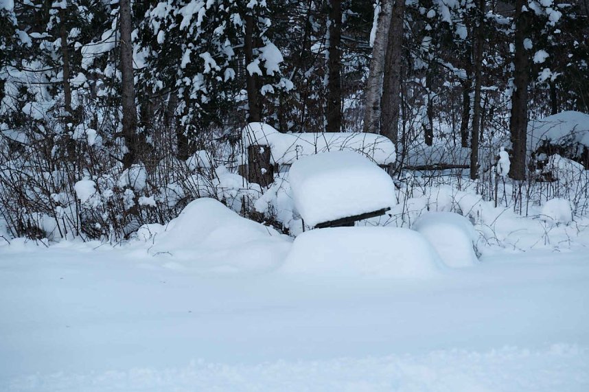 Wunderbare Winterlandschaft bei Benneckenstein