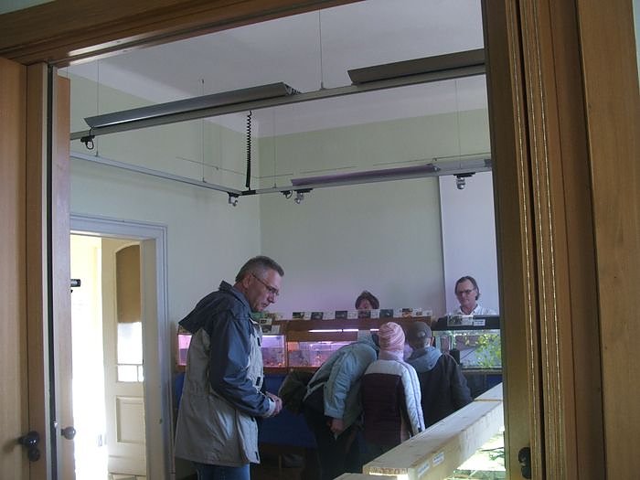 B&ouml;rse im Vereinshaus