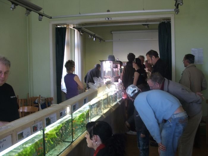 B&ouml;rse im Vereinshaus