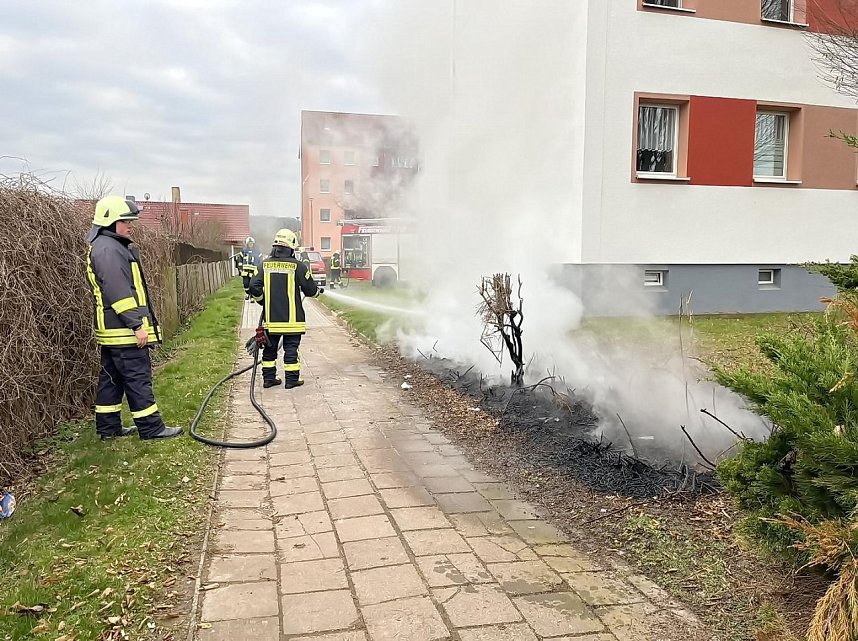 Heckenbrand in Heringen