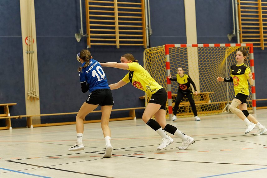 Handball am Wochenende
