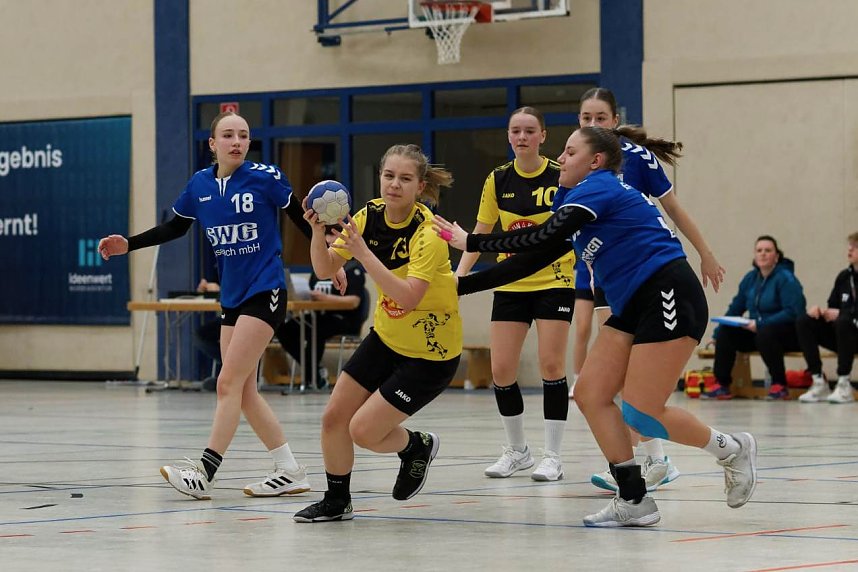 Handball am Wochenende