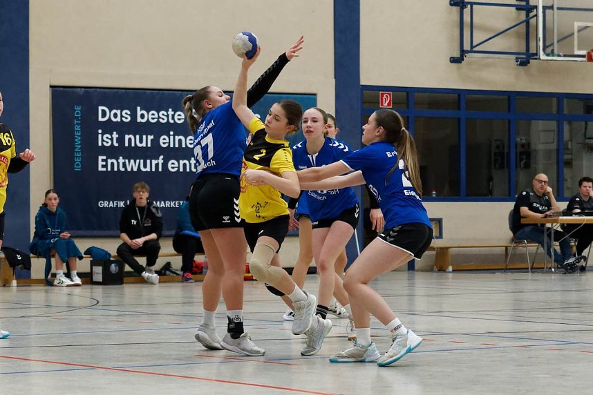 Handball am Wochenende