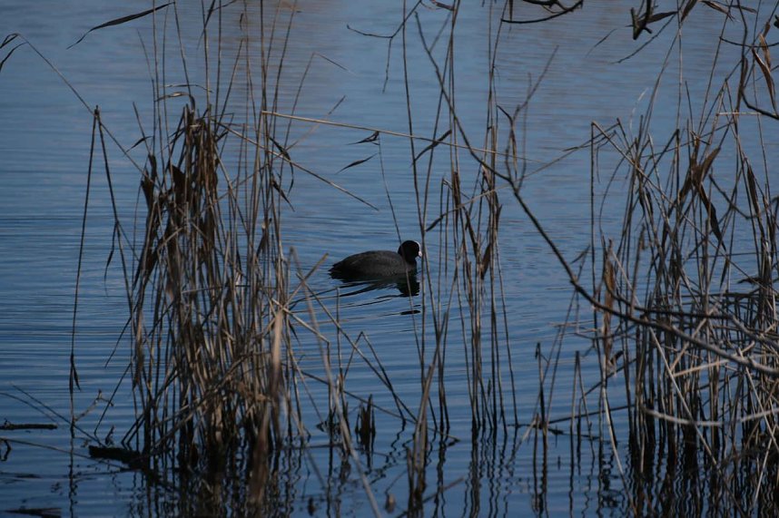Peter Blei unterwegs im Fr&uuml;hling