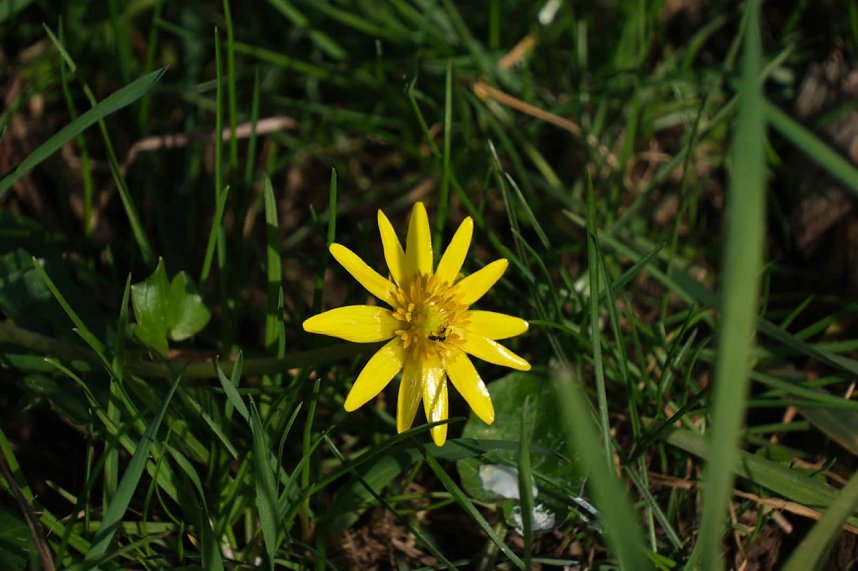Peter Blei unterwegs im Fr&uuml;hling